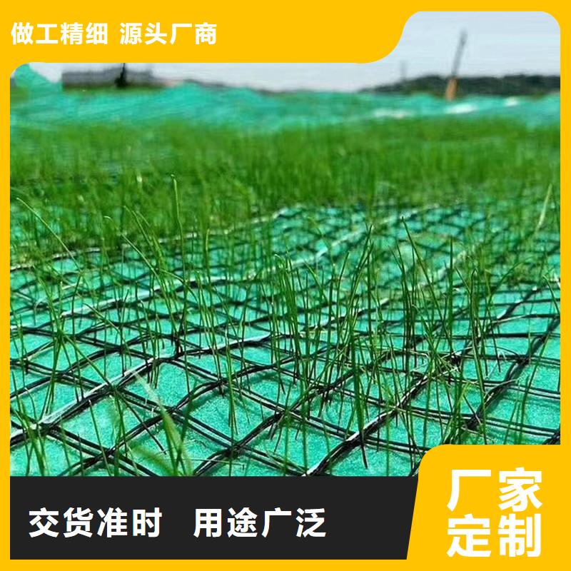 椰丝植生毯生态抗冲毯