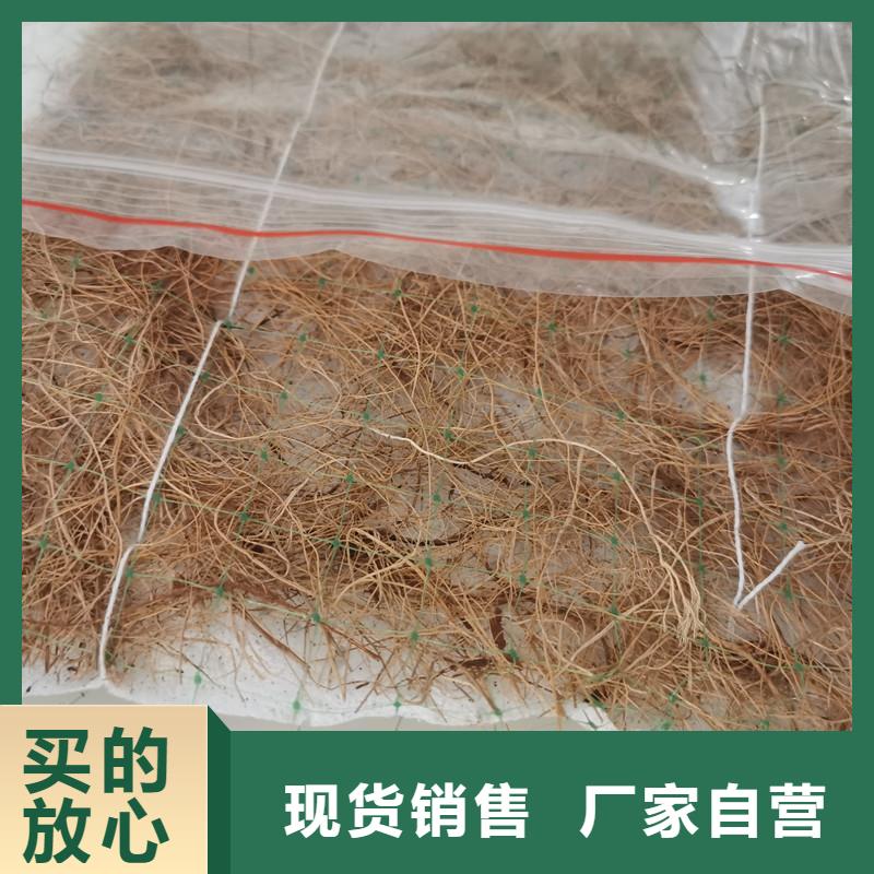 护坡植被植草毯-护坡椰丝毯