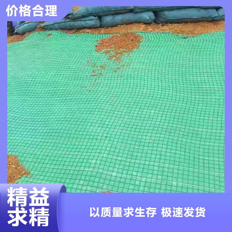 生态环保草毯规格特点