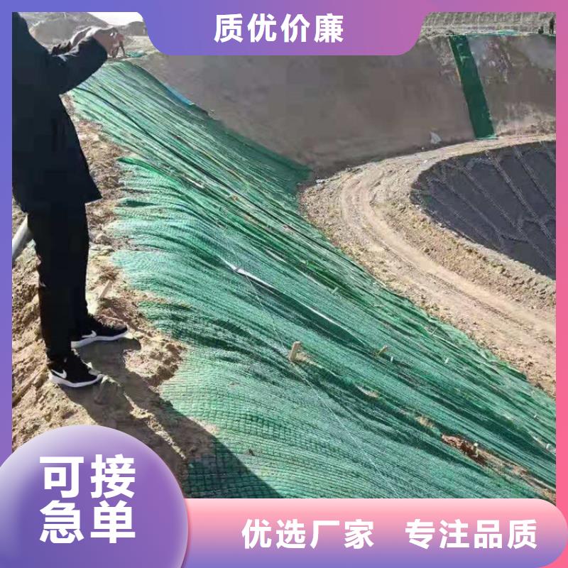 加筋抗冲生物毯生产厂家