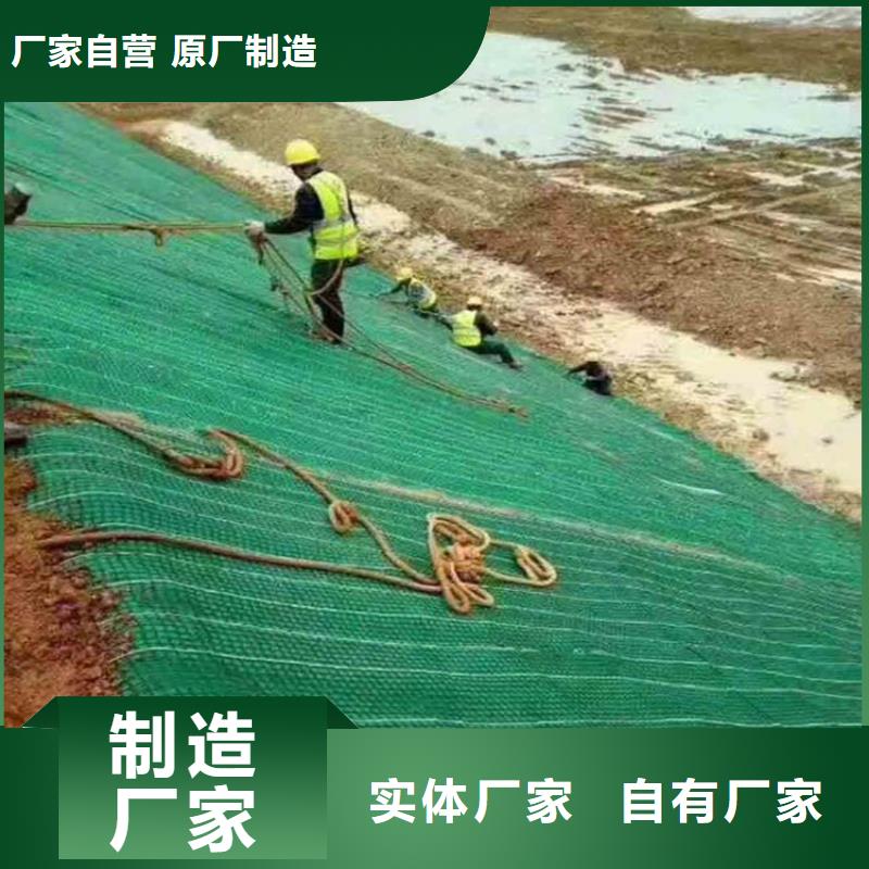 加筋抗冲生物毯椰丝纤维毯