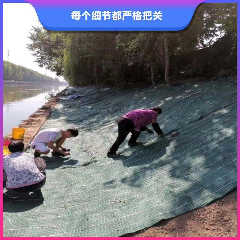 加筋抗冲生态毯-加筋抗冲生物毯厂家市场批发