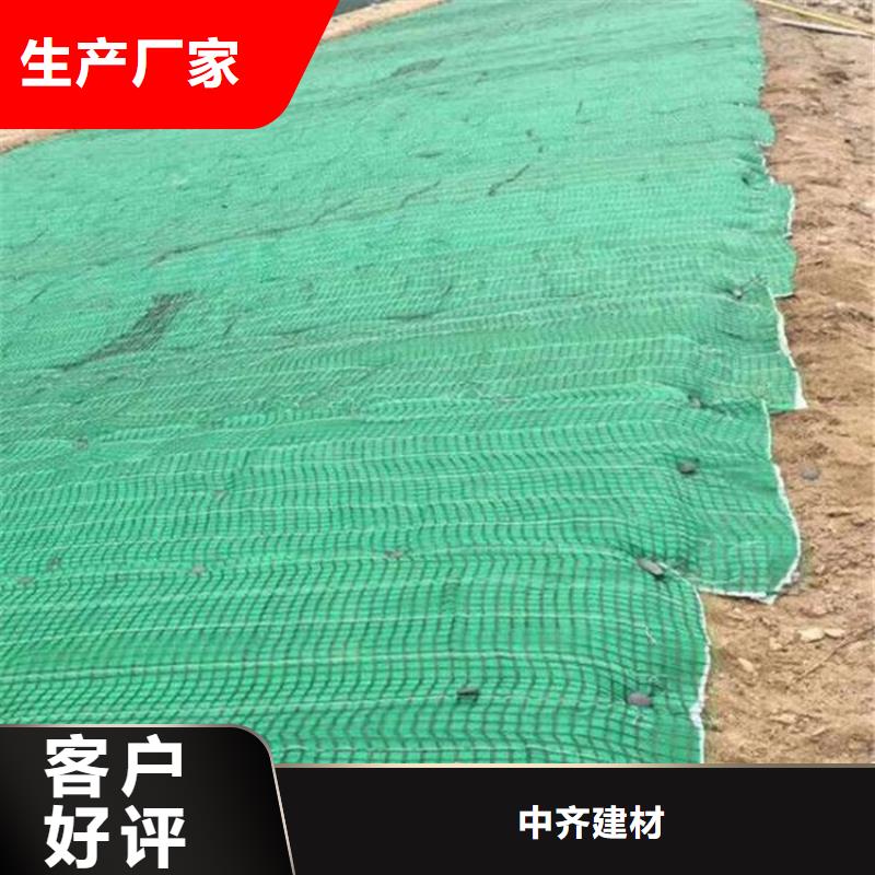 椰丝护坡毯-椰丝生态植物毯