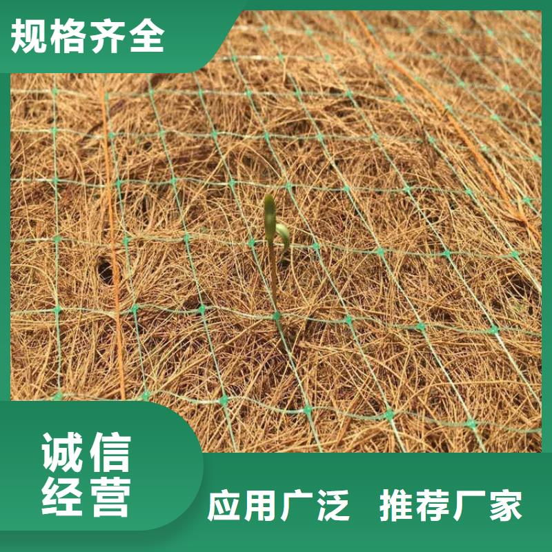 植生椰丝毯-加筋抗冲生态毯-环保植生毯