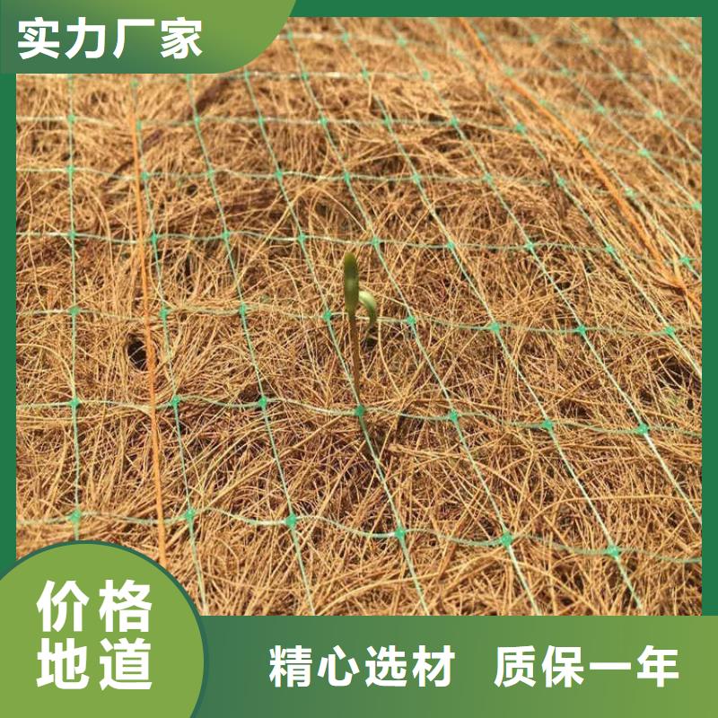 植物生态防护毯-加筋抗冲生物毯