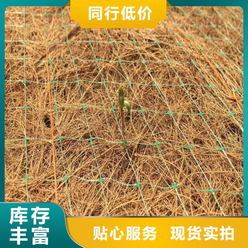 植物生态防护毯-护坡绿化植草毯