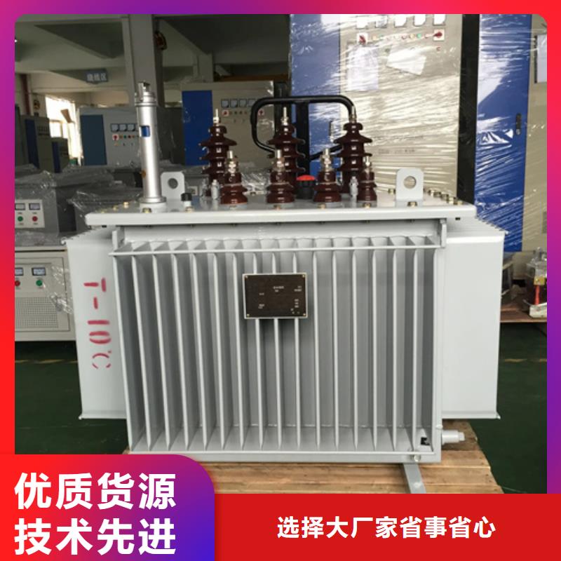 S13-m-800/10油浸式变压器原厂正品