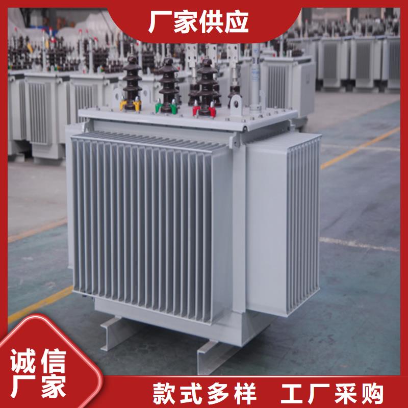可定制的S20-m-160/10油浸式变压器供应商