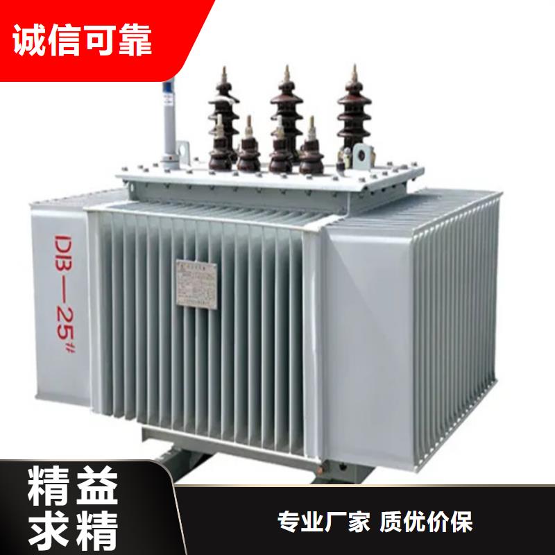 S20-m-1250/10油浸式变压器供应商可定制