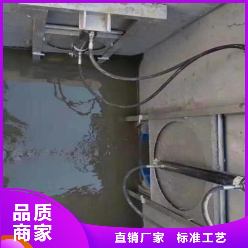 雨污分流闸门无差价直销