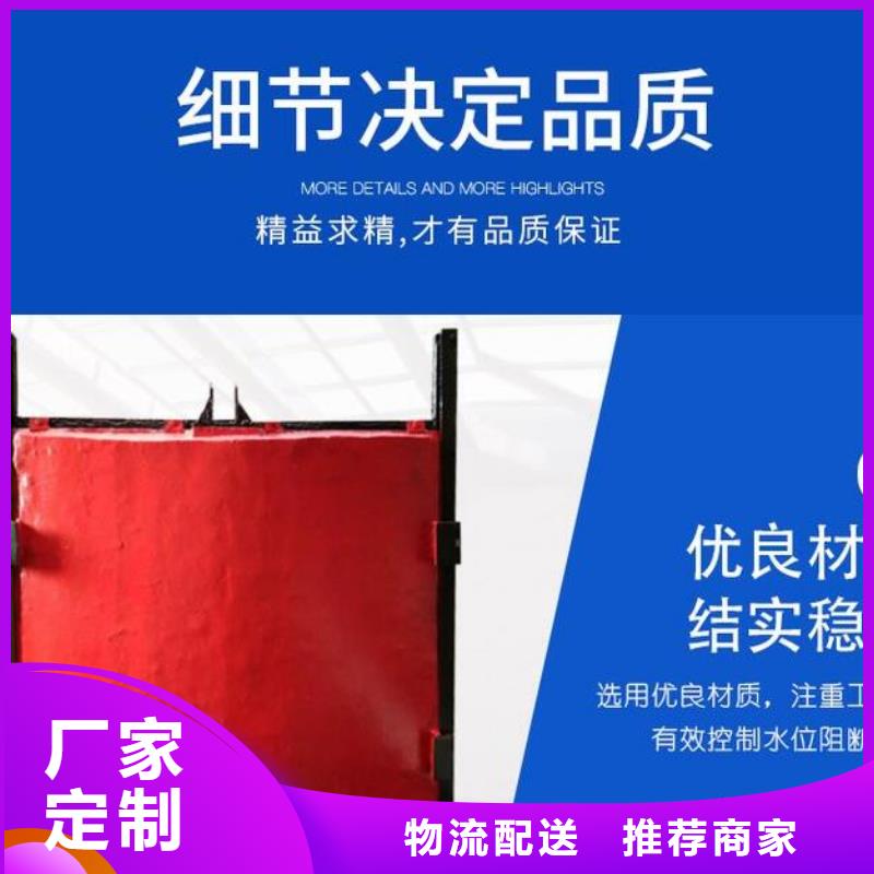 耀州分流井闸门省级水利示范厂家