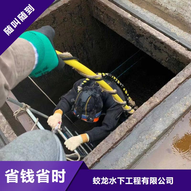 水下录像公司代理商