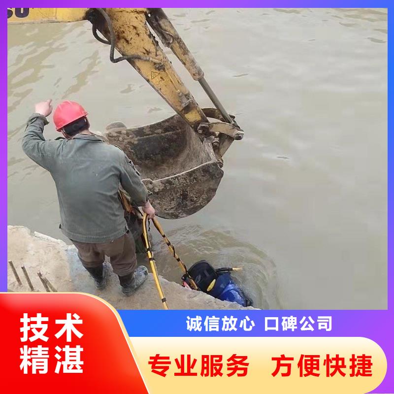 水下录像公司代理商