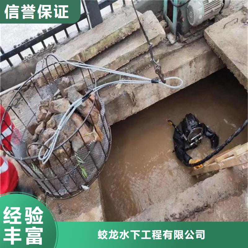 污水中水鬼潜水更换曝气盘-高品质低价格