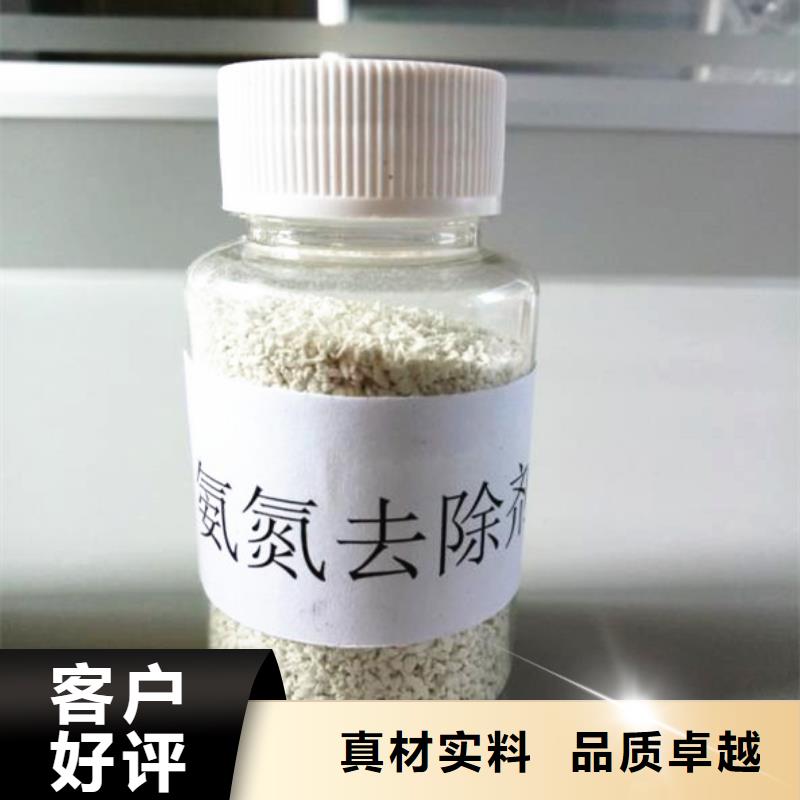 污水处理微生物菌种