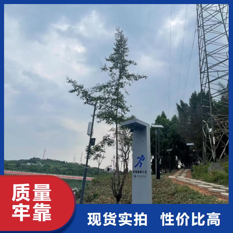 智慧赛道价格（维艾狄尔）