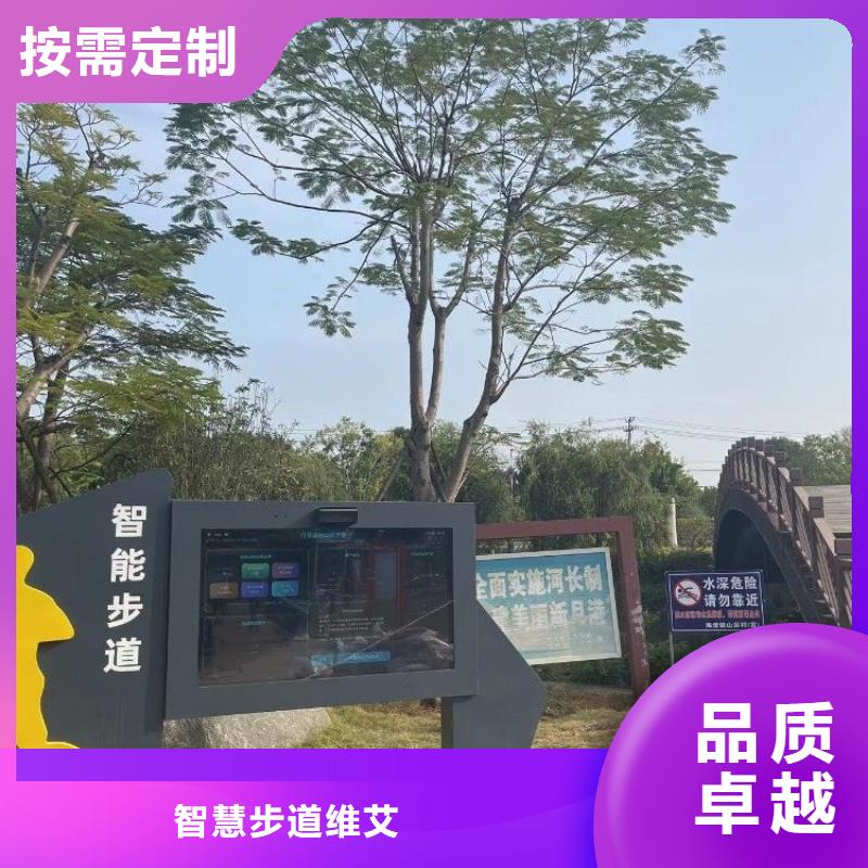 智慧跑道价格（维艾狄尔）