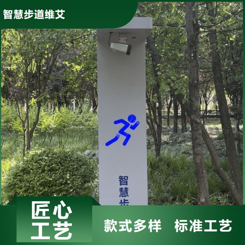 ai校园体育厂家（维艾狄尔）