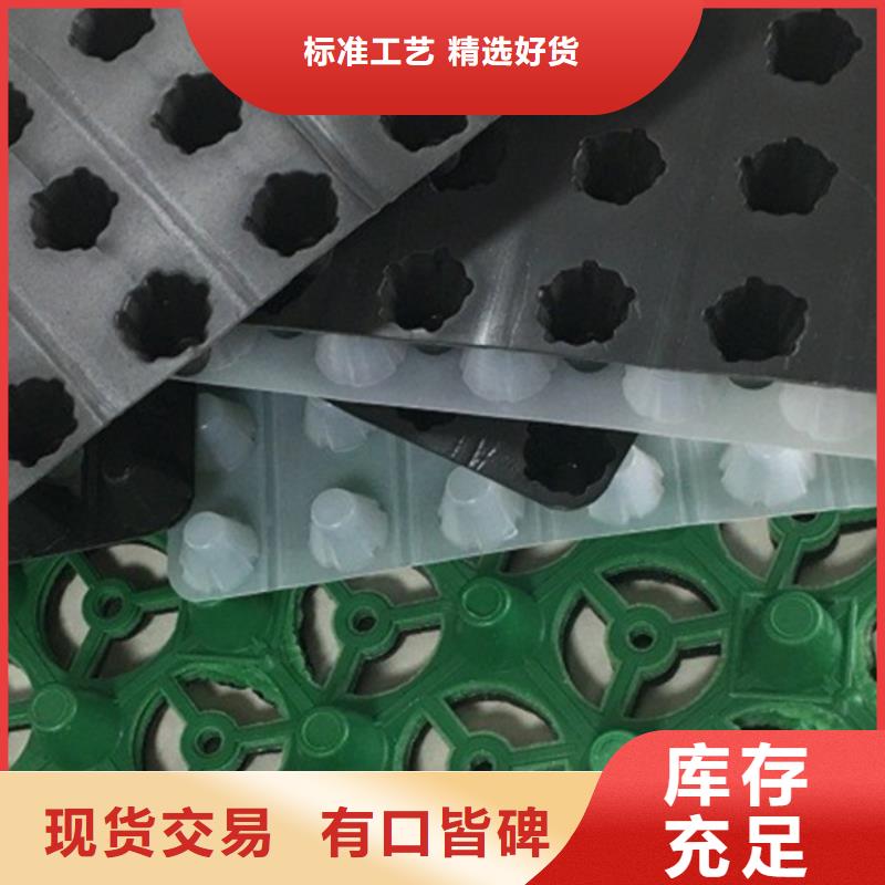 塑料排水板-高分子排水异形片公司