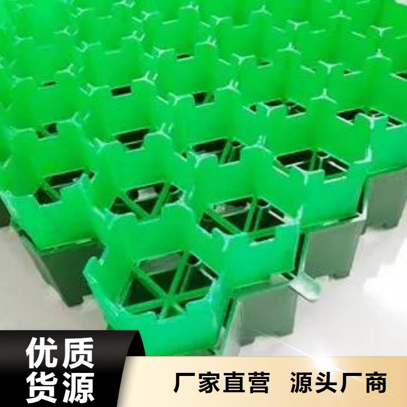 塑料植草格/本地公司