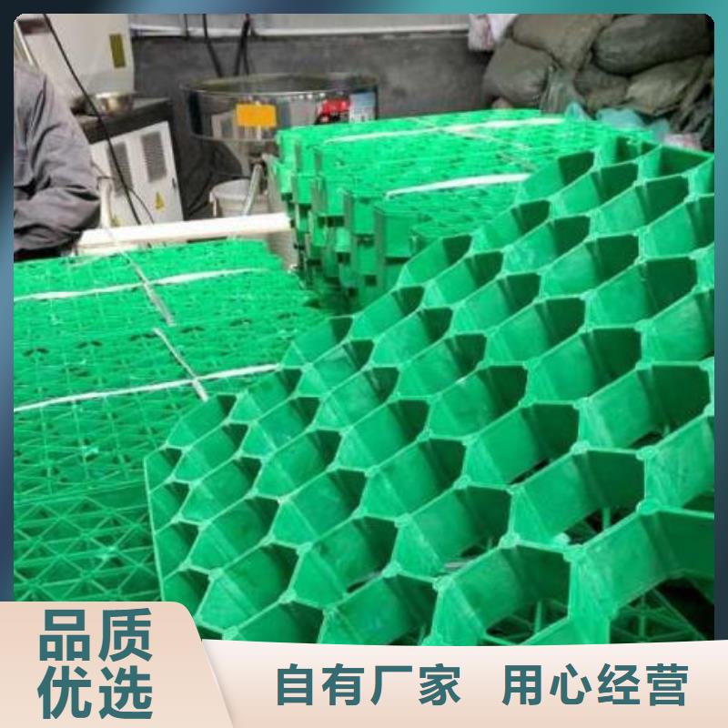 塑料植草格定制咨询-