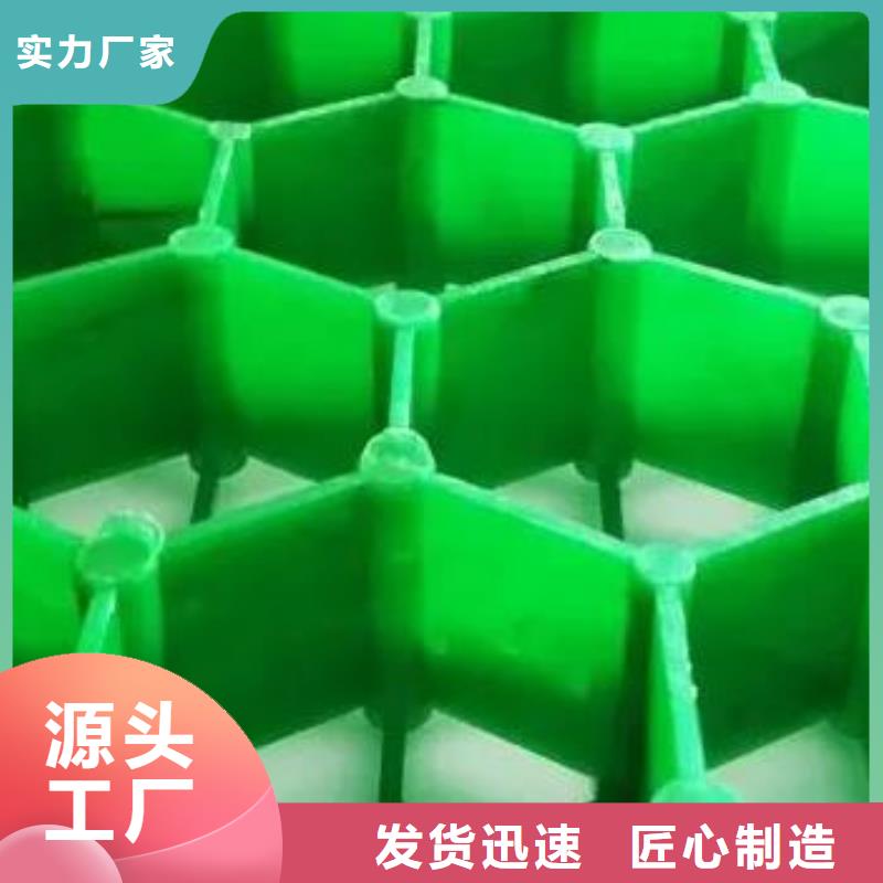 塑料植草格价格/欢迎咨询