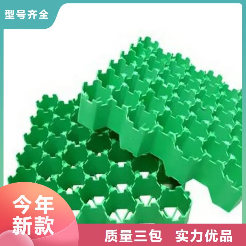 塑料植草格-停车场植草格厂家店