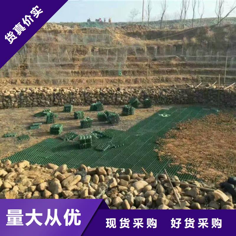 植草格2024新行情价