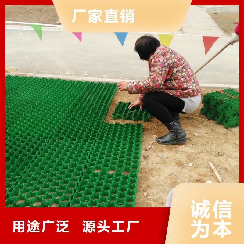 塑料植草格厂家-批发价