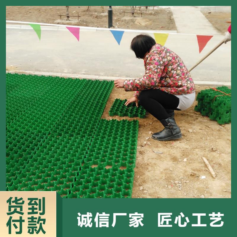 塑料植草格2024报价