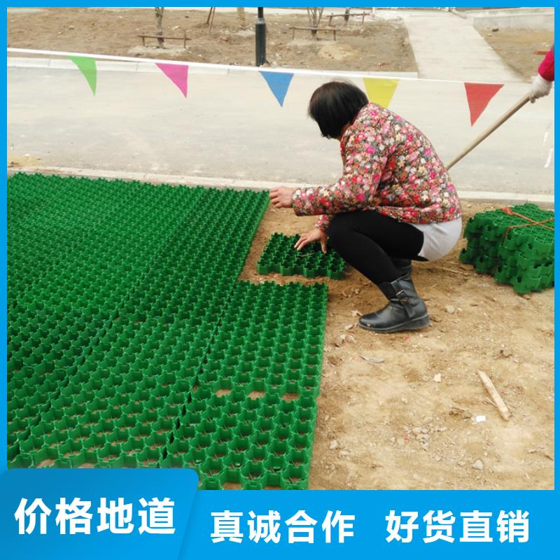 塑料植草格价格多少