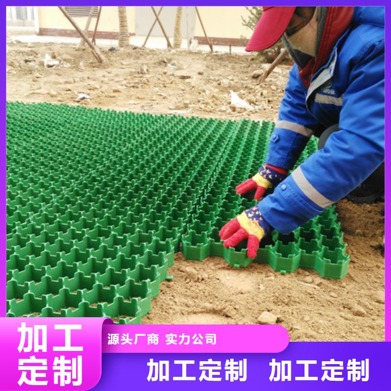 塑料植草格价格-2024已更新