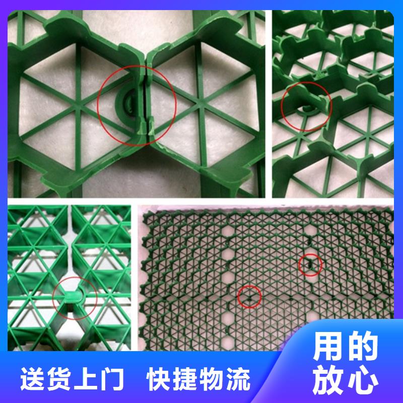 植草格厂家-停车场植草格实业公司