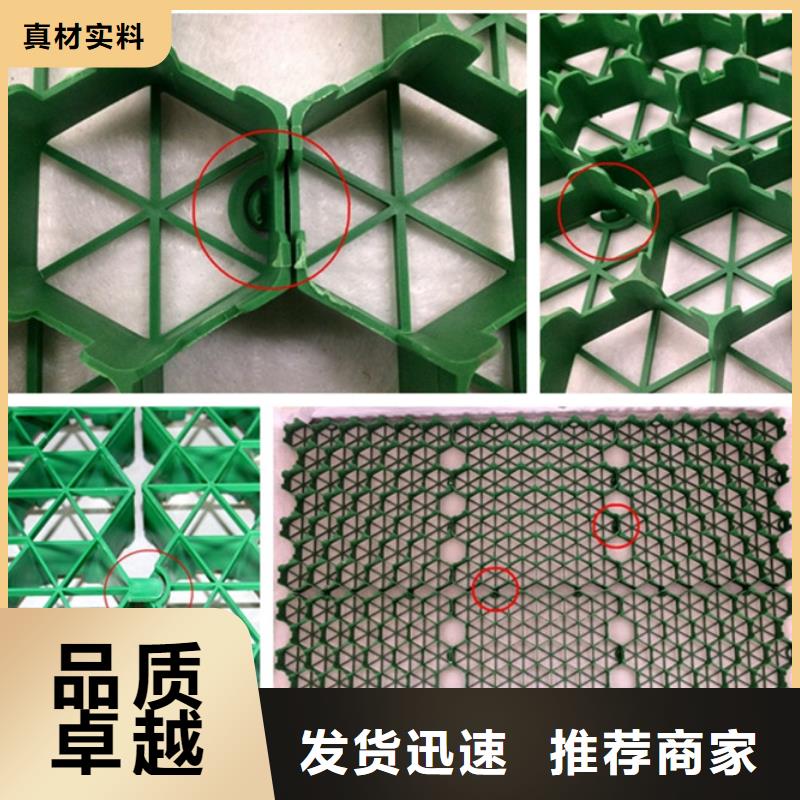 停车场植草格2024新行情价