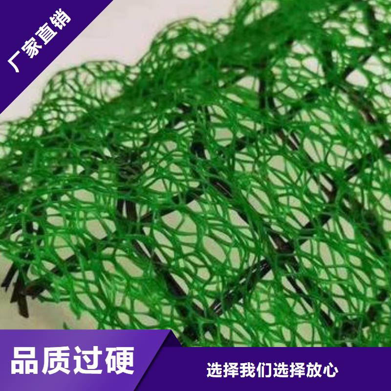 三维植被网化粪池水泥精致工艺