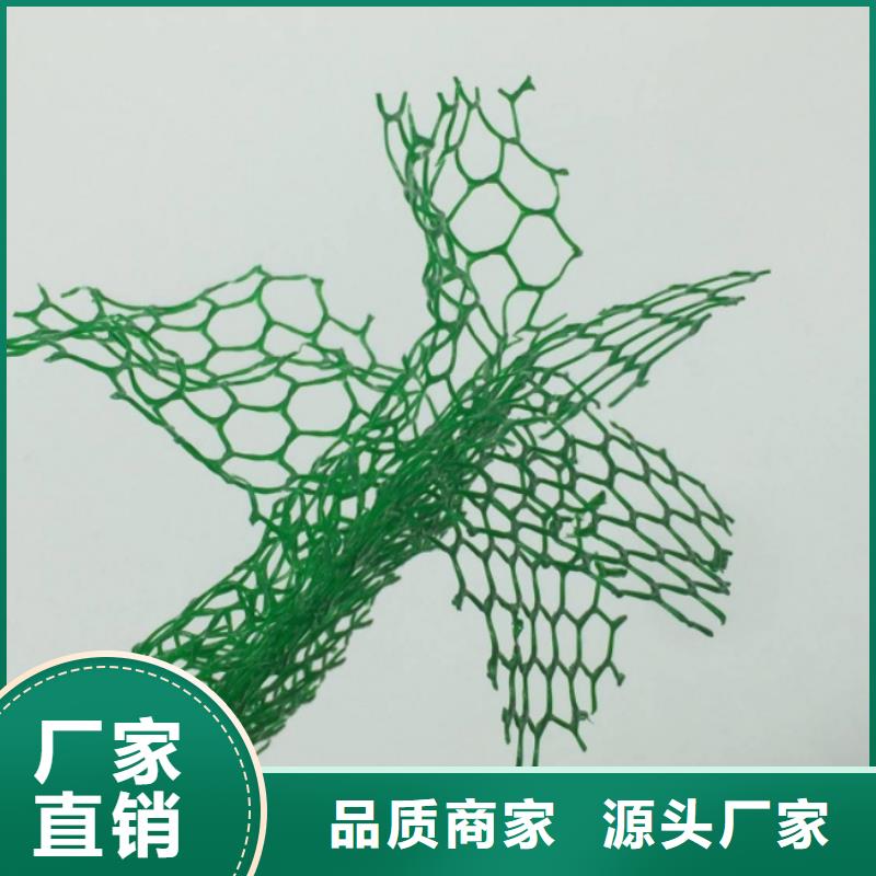 三维植被网植草格随到随提