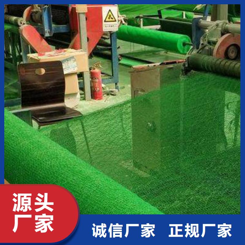 三维植被网【植草格】定制速度快工期短