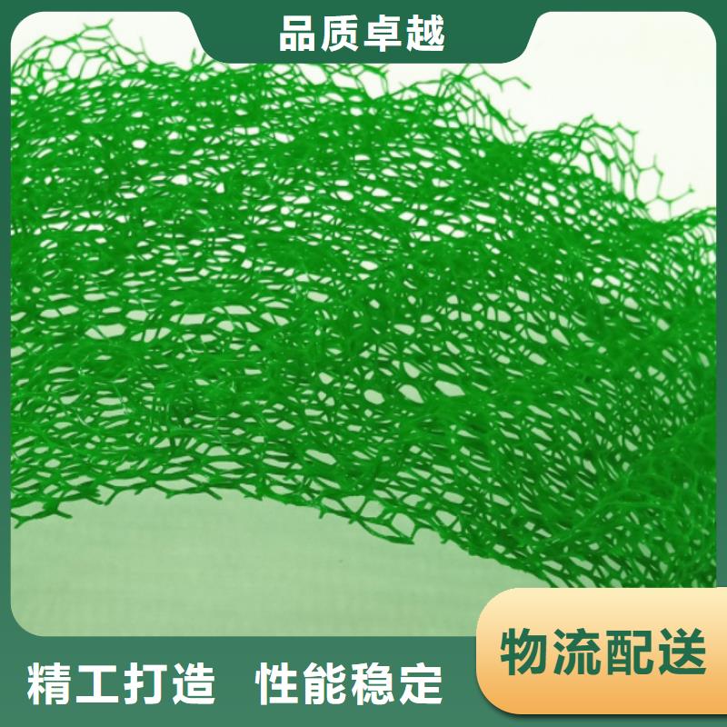 三维土工网垫边坡复绿