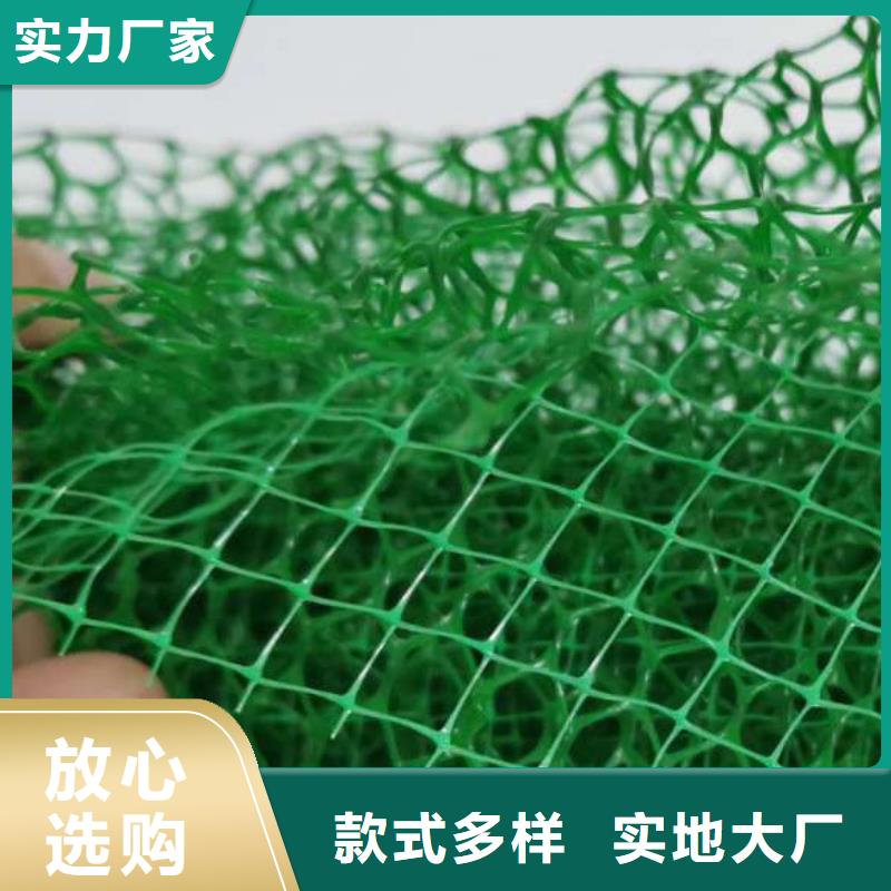 三维植被网防护虹吸排水收集系统质优价保