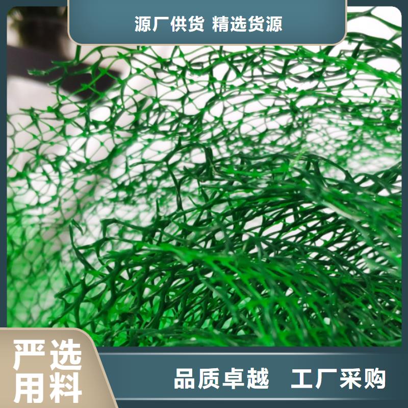 三维植被网价格-生产厂家