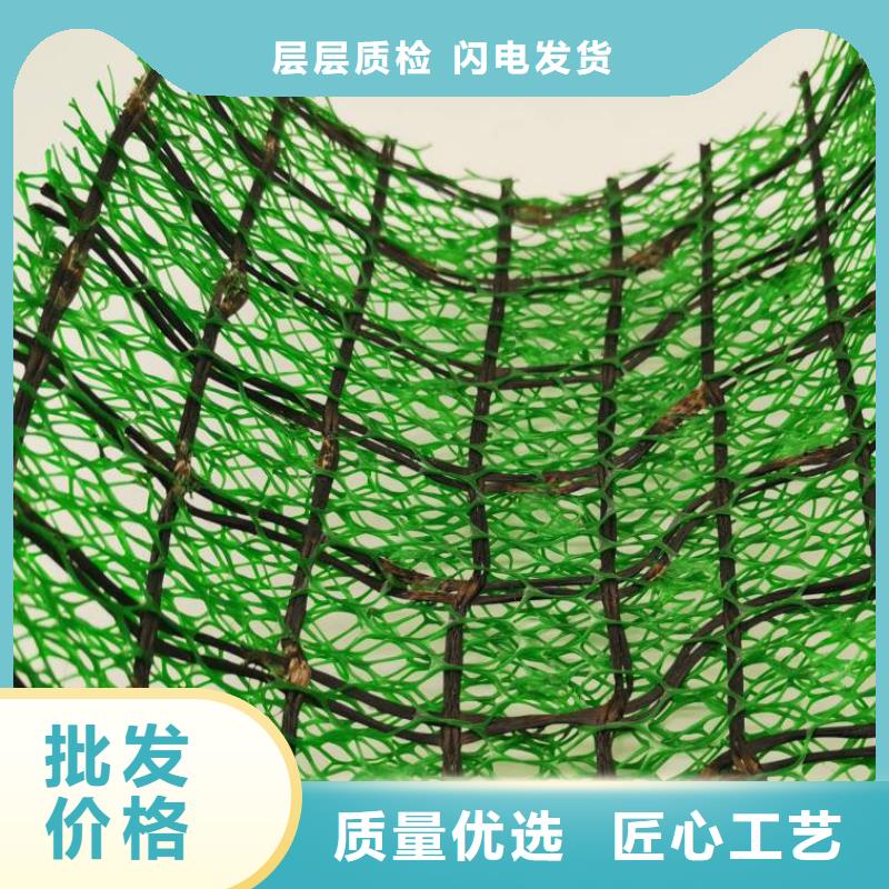 三维植被网_【排水板】品质可靠