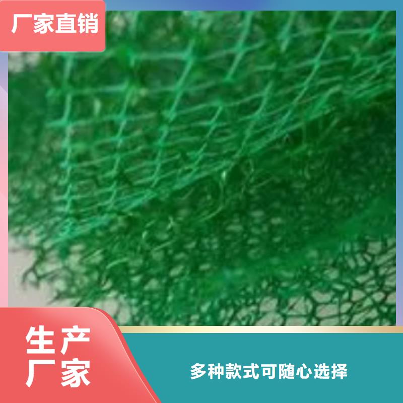 三维植被网植草格质优价保