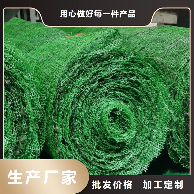三维土工网垫厂家供应边坡复绿