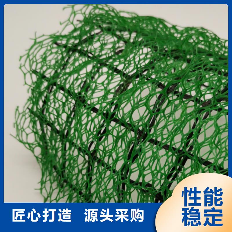 三维植被网_排水板准时交付