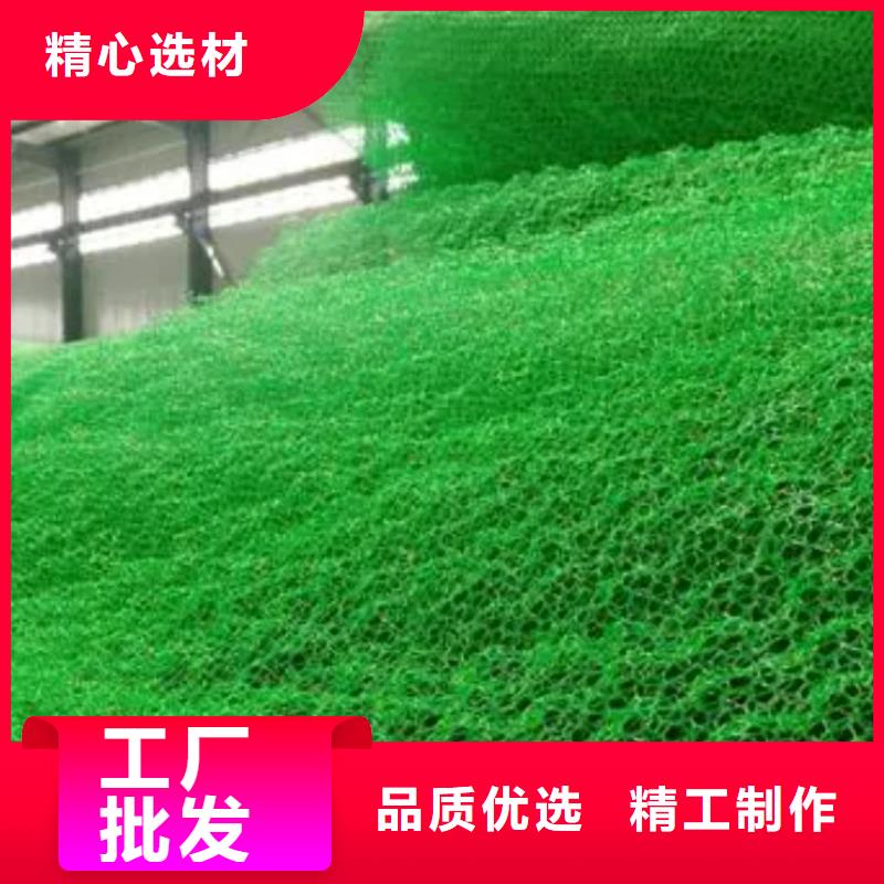 三维植被网【车库虹吸排水系统】一站式厂家