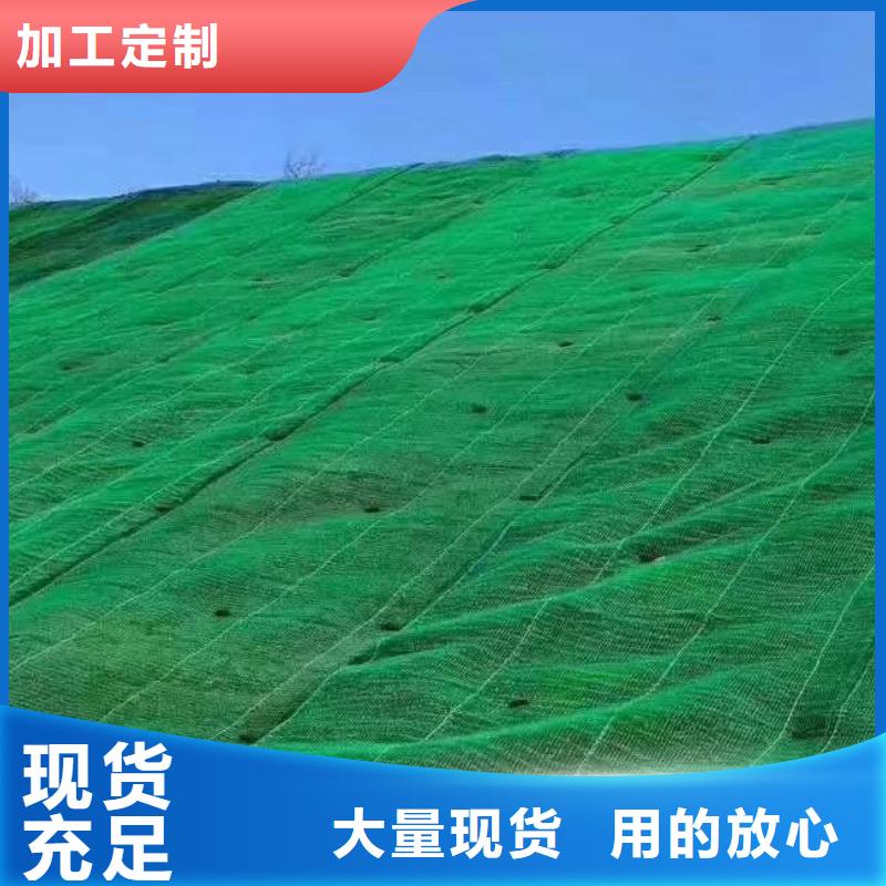 三维植被网价格