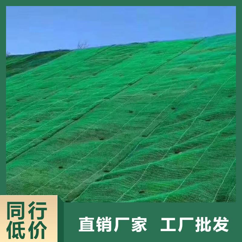 三维植被网本地工厂直营