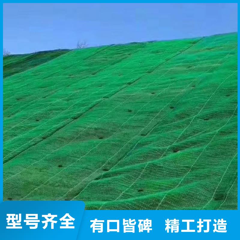 三维植被网厂家直供