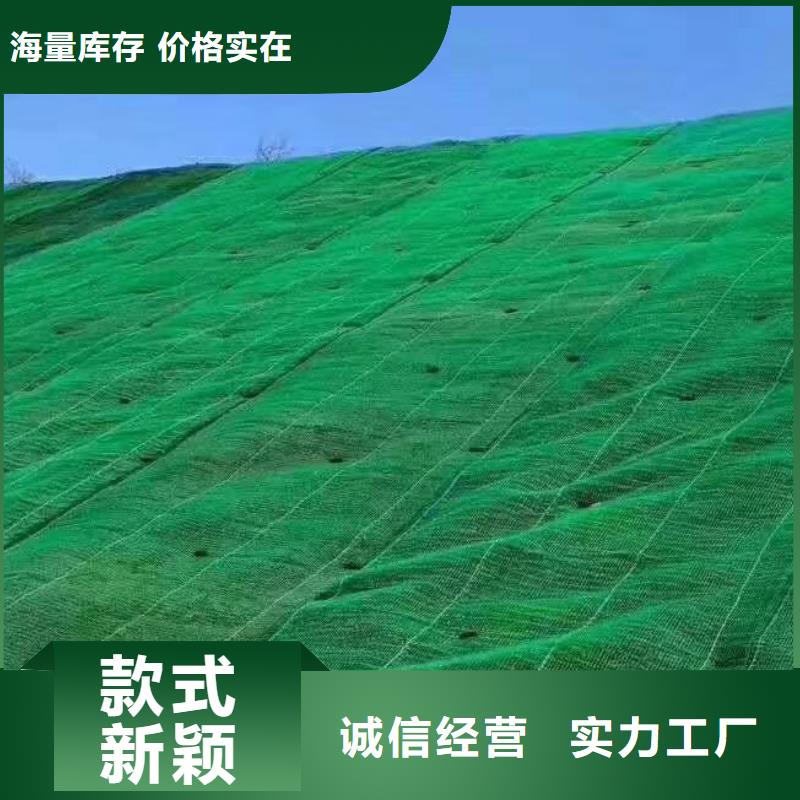 三维植被网有限公司-批发生产