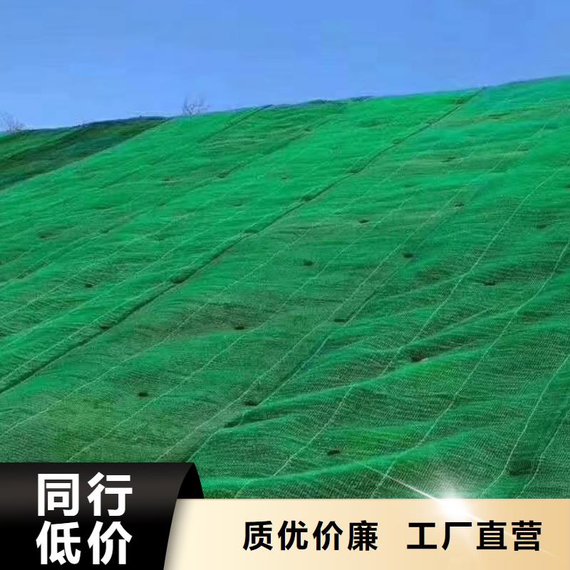 三维植被网价格多少